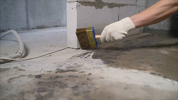 SJ Waterproofing Pros Waterproofing coverage map for Crane Hill, AL and surrounding area
